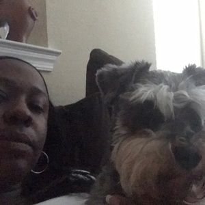 Meet your Posher, Van